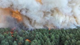 France: record de surfaces brûlées à la mi-juillet 