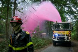Forêt de Fontainebleau: les feux sont «fixés», quatre gardes à vue encore en cours