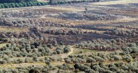 Liban: le secteur agricole durement touché par la guerre