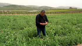 Békaa: les secousses d’une agriculture dans le sillage des crises