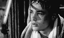 Un an après sa mort, Alain Delon honoré à Douchy le 18 août