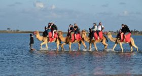 Djerba face au ralentissement des réservations estivales