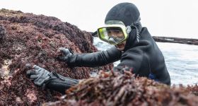 Les dernières femmes de la mer