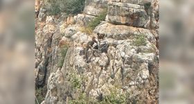 Liban-Sud: l’armée démantèle une caméra espionne israélienne, forte explosion à Mansouri