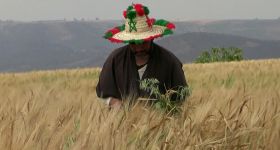 Maroc : le retour de la pluie ne suffit pas à sauver les agriculteurs