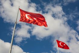 Turquie: trois policiers tués lors d'une opération contre le groupe État  islamique 