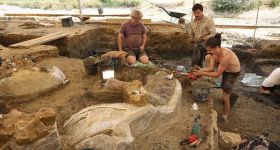 En Charente, un nouveau dinosaure sort de terre