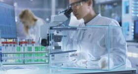 Médicaments: grâce à la tech, la fin programmée des tests sur les animaux? 