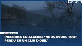 Incendies en Algérie: "Nous avons tout perdu en un clin d'oeil"
