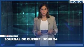 Journal de guerre : Jour 24