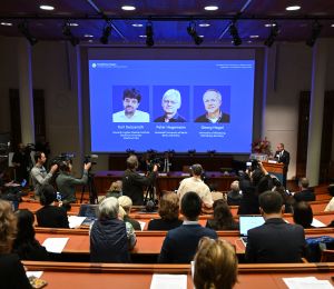 Le Nobel de médecine récompense des travaux sur les mystères du cerveau