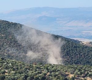 Liban-Sud: plusieurs localités ciblées