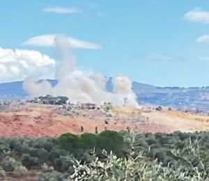 Liban-Sud: frappes et restrictions sur les récoltes d'olives