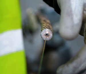 Brise-glace et câble sous-marin: l'UE veut renforcer sa présence dans l'Arctique