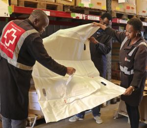 Le Nigeria confirme que son premier cas d’Ebola est de la souche Bundibugyo
