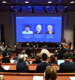 Le Nobel de médecine récompense un trio américano-allemand pour leurs travaux sur la mémoire