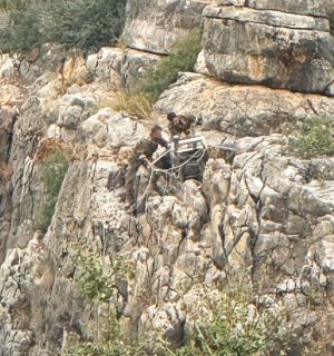 Liban-Sud: l’armée démantèle une caméra espionne israélienne à Zebqine