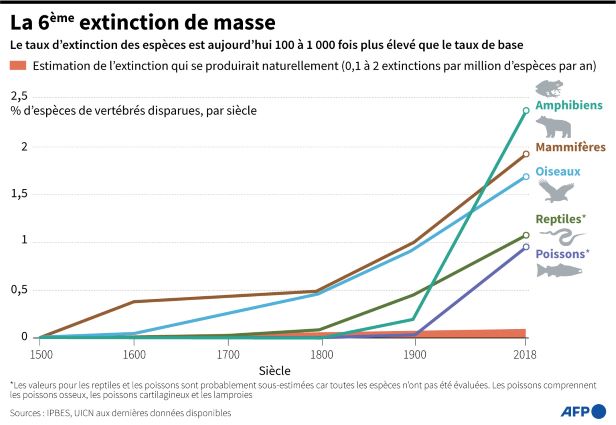 environnement