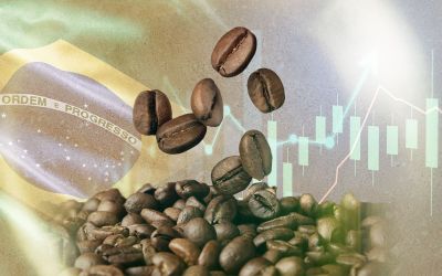 Café: le Brésil pourrait changer la trajectoire des prix