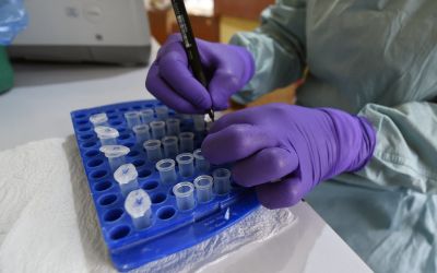 Au Nigeria, le «choc» après l'annonce d'un premier cas d'Ebola de souche Bundibugyo