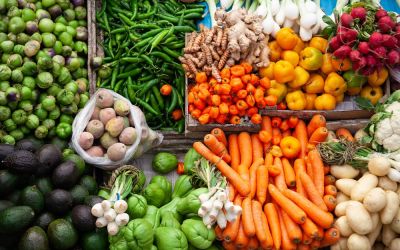 Au Liban, manger à sa faim ne suffit pas
