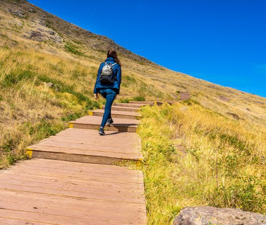 «Le chemin se fait en marchant» ou le pas qui crée la route