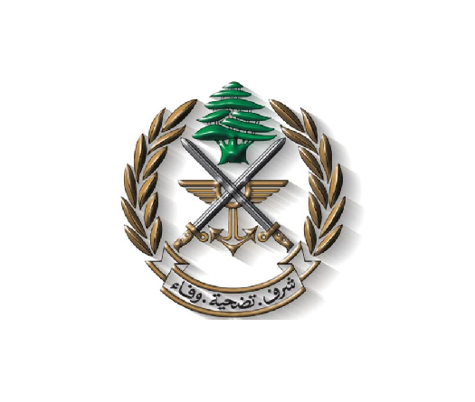 L’armée dément la présence d’armes dans une maison à Yanouh