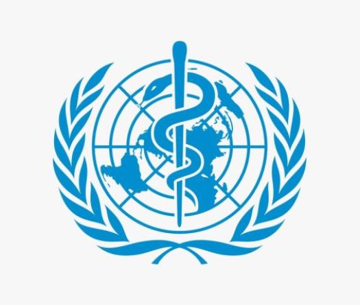 L'OMS ouvre son Assemblée annuelle sur fond d'hantavirus et d'Ebola