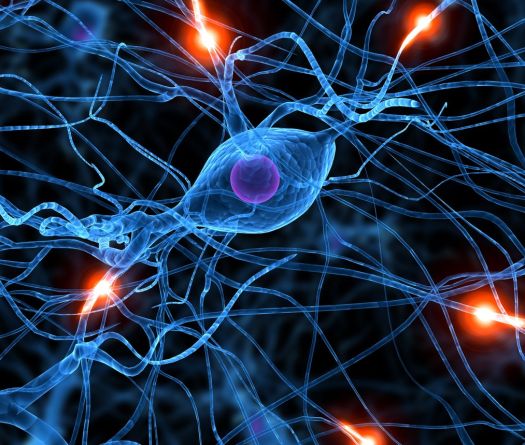 Parkinson au Liban: la maladie qui tremble, le système qui vacille