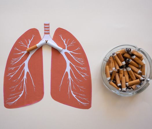 Pourquoi le tabac détruit uniquement certains poumons 