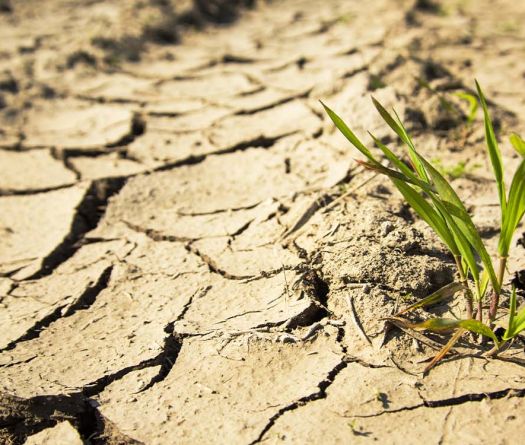 Liban: un pays riche en eau… mais confronté à la pénurie