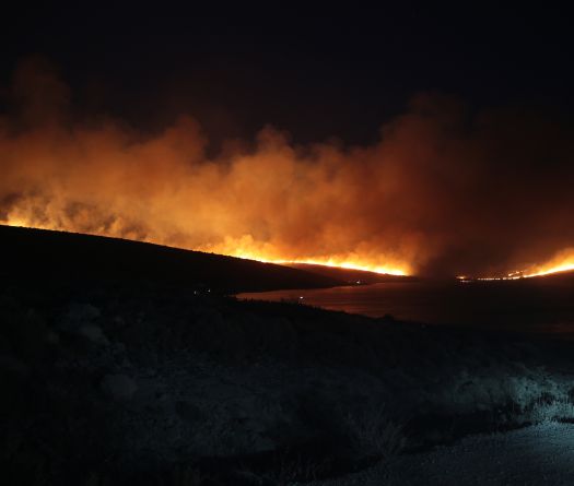 Turquie: l'un des feux près d'Izmir maîtrisé, mais la forêt brûle encore