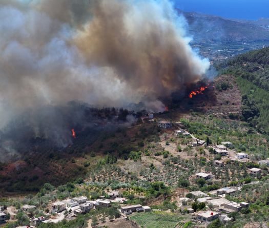 Syrie : Lattaquié en proie aux flammes pour le 4e jour, 10 000 hectares de forêts détruits