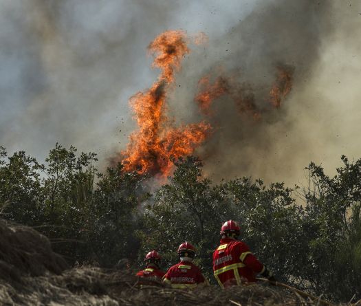 Canicule: d'un site espagnol classé par l'Unesco aux Balkans, les incendies font rage en Europe