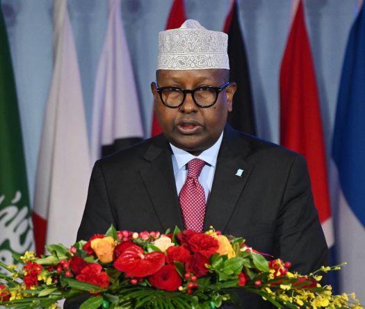 La Somalie annonce un accord militaire avec l'Arabie saoudite