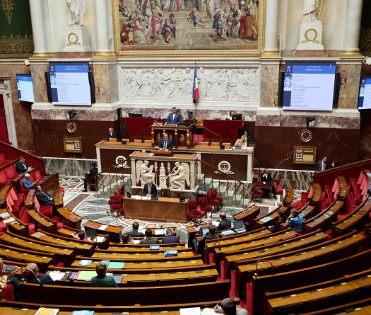 France: l'Assemblée nationale approuve à l'unanimité l'abrogation du Code noir