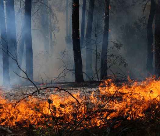 Incendies en Europe: les derniers développements
