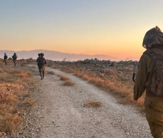 Incursion israélienne au Liban-Sud