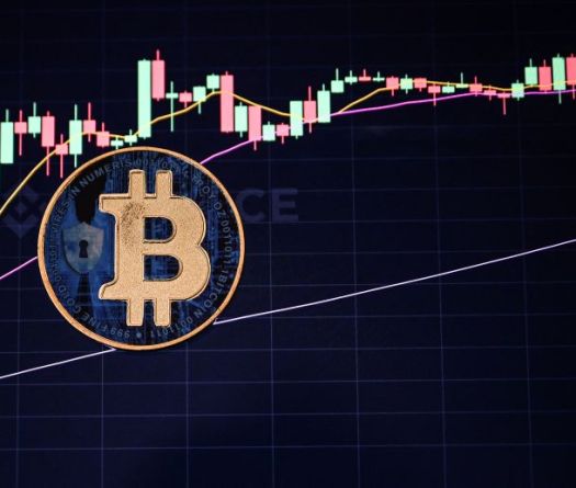Bitcoin sans panique: mode d'emploi 