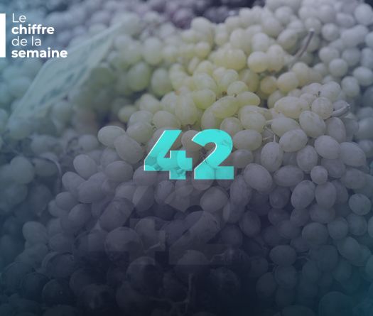 42 marchés&nbsp;: la success story du raisin libanais