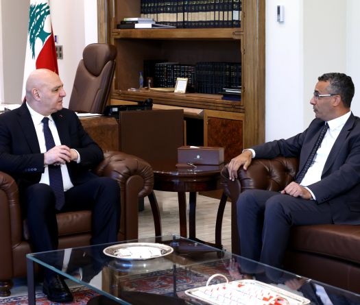 Liban-Sud: 22,5% des terres agricoles endommagées