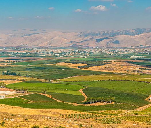 Liban: 22% des terres cultivées endommagées, la sécurité alimentaire «menacée»