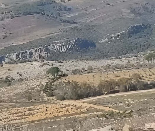 Mazraet el Jrine: un litige foncier révélateur de l’impuissance de l’État