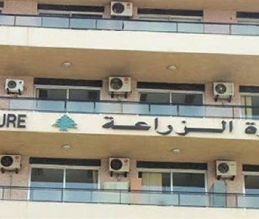 200 millions de dollars: le Liban lance son virage vert agricole