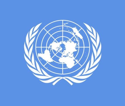 L'ONU salue la création de comités libyens sur la sécurité et les droits humains