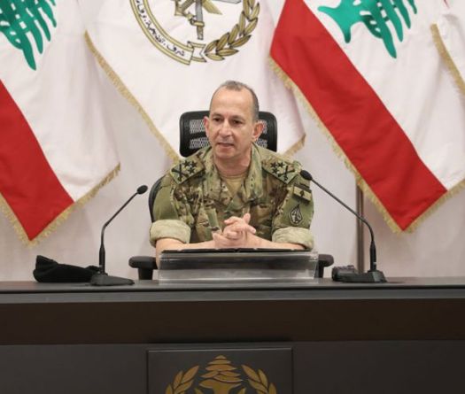Haykal à l’occasion de la Journée de l’armée : Nos efforts se concentrent sur la stabilité et la paix civile