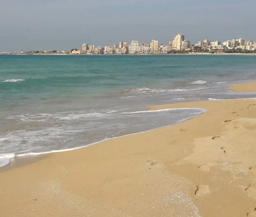 Réserve naturelle de Tyr: une association tire la sonnette d’alarme, en appelle au président Aoun