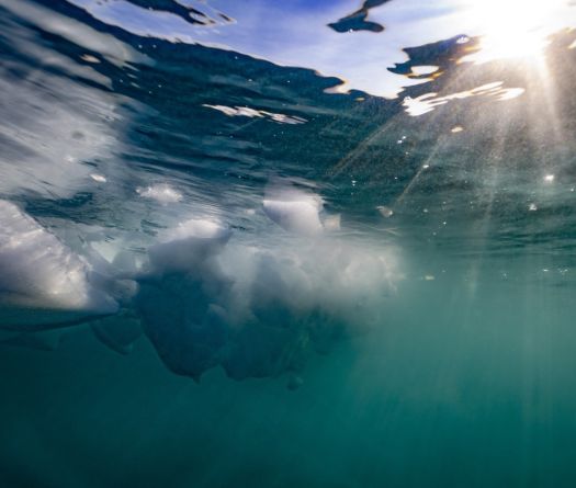 Les océans mondiaux ont atteint un pic de chaleur en juin