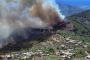Syria Battles Wildfires for Fourth Day as Jordan and Turkey Send Help