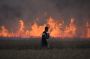 Les feux de forêt détériorent la qualité de l'air à des milliers de kilomètres, selon l'ONU